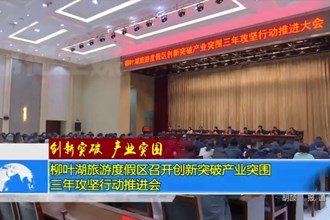 创新突破 产业突围(4.9)