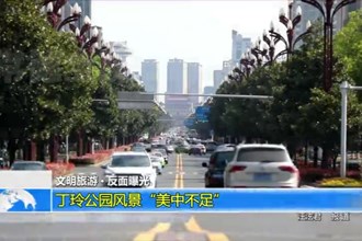 丁玲公园风景“美中不足”