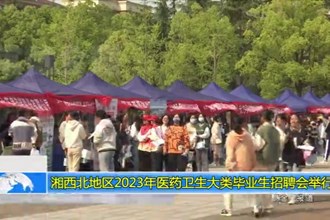 湘西北地区2023年医药卫生大类毕业生招聘会举行