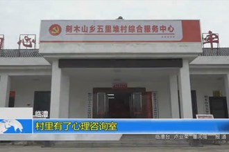 临澧：村里有了心理咨询室