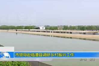 市领导赴临澧县调研乡村振兴工作