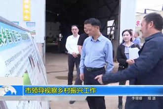 市领导视察乡村振兴工作