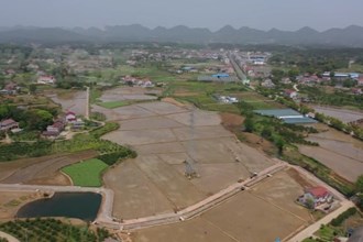 石门：4.5万亩早稻插秧拉开序幕