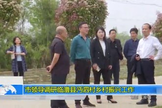 市领导调研沔泗村乡村振兴工作