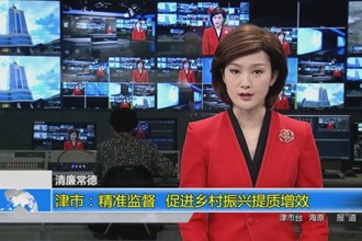 津市：精准监督 促进乡村振兴提质增效