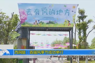 西洞庭举办首届风筝节