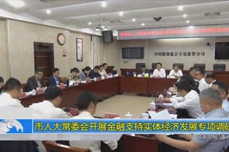 市人大常委会开展金融支持实体经济发展专项调研