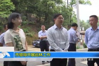 市领导开展巡林工作