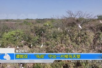 谭敦双：“鸟叔”守出一片候鸟天堂