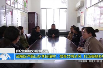 武陵区芦荻山乡李白溪村：培育文明乡风 打造美丽乡村