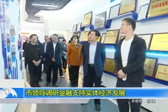 市领导调研金融支持实体经济发展
