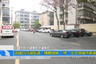 武陵白马湖街道：精雕细琢 “绣”出文明城市新画卷