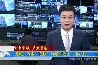 鼎城：专家“把脉” 种植户吃上“定心丸”