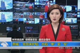 鼎城： 党员来护航 水稻“单”变“双”