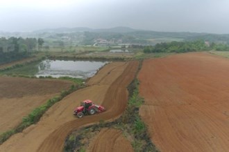 临澧：春苗行动“唤醒”抛荒地