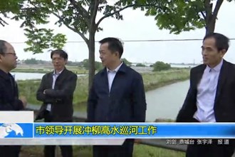 市领导开展冲柳高水巡河工作