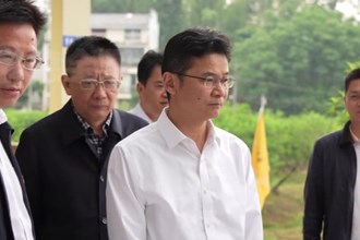 曹志强赴桃花源调研乡村振兴示范片建设