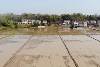 鼎城：共建共护“四好农村路” 产业发展提升加速度