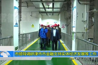 市领导调研津市市金融支持实体经济发展等工作