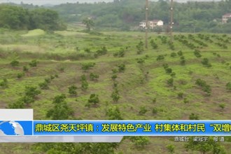 鼎城区尧天坪镇：发展特色产业 村集体和村民“双增收”