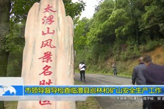 市领导督导检查临澧县巡林和矿山安全生产工作