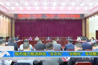 常德市强力推进耕地“非农化”“非粮化”专项整治