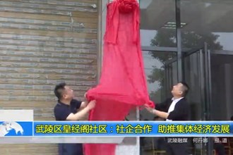 武陵区皇经阁社区：社企合作 助推集体经济发展