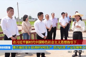 曹志强在安乡县调研早稻生产、防汛抗旱、产业发展等工作