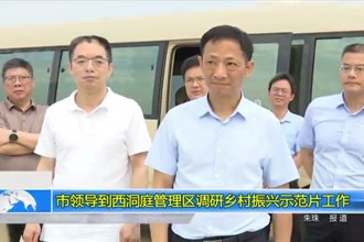 市领导到西洞庭管理区调研乡村振兴示范片工作