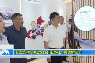 市领导调研基层社会治理和人民调解工作