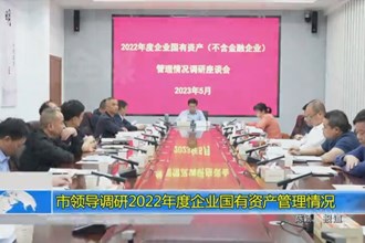 市领导调研2022年度企业国有资产管理情况