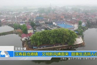 汉寿县沧港镇：文明新风拂面来 甜美生活润人心