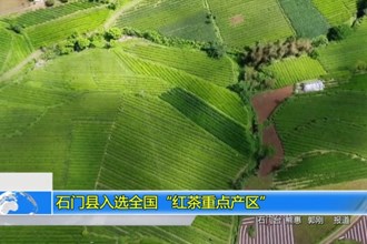 石门县入选全国“红茶重点产区”