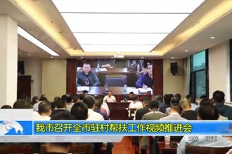 我市召开全市驻村帮扶工作视频推进会