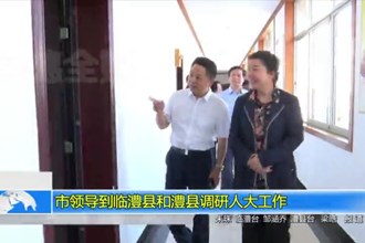 市领导到临澧县和澧县调研人大工作