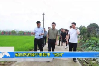省自然资源厅来常德市“巡田”