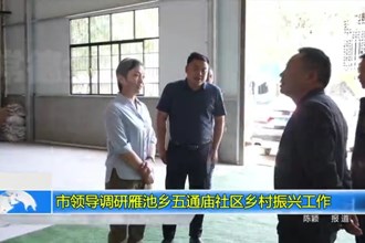 市领导调研雁池乡五通庙社区乡村振兴工作