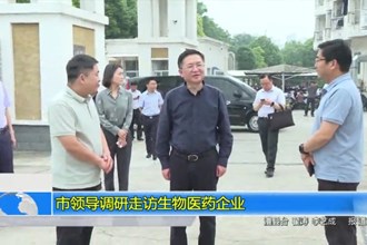 市领导调研走访生物医药企业
