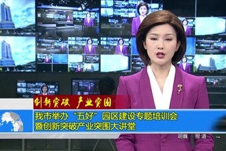 创新突破 产业突围(5.29)