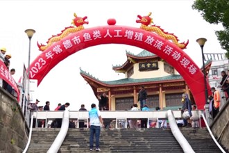 262万尾鱼苗放流沅江 常德市开展鱼类人工增殖放流活动