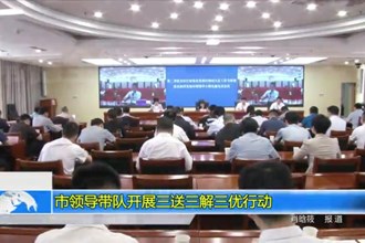 市领导带队开展三送三解三优行动