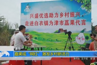 津市：藠果成“网红” 激发乡村新活力