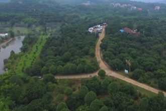 护青山绿水 闻候鸟欢歌
