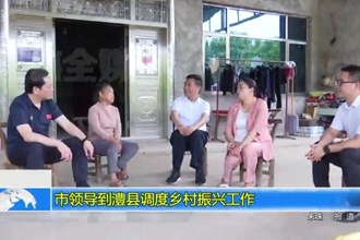 市领导到澧县调度乡村振兴工作