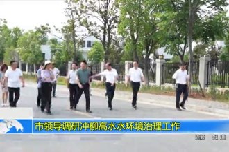市领导调研冲柳高水水环境治理工作