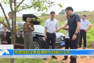 市领导到汉寿县调研乡村振兴工作