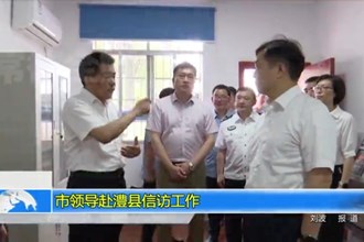 市领导赴澧县信访工作