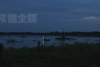 汉寿县：稻虾连作 低湖田变成“聚宝盆”