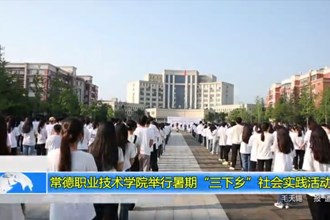 常德职业技术学院举行暑期三下乡社会实践活动