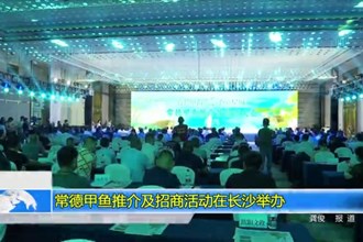 常德甲鱼推介及招商活动在长沙举办